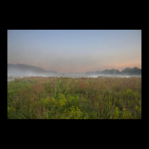 Misty Marsh framed print posters