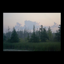 Misty Michigan Morning print posters