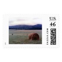 Misty Morn Postage