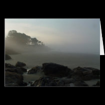 Misty Morning cards