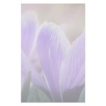 Misty Morning Crocuses Stationery Design