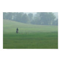 misty morning hunt posters