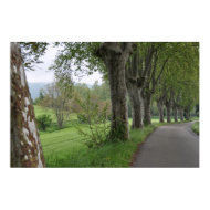 Misty morning in Provence print print