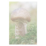 Misty Morning Mushrooms Personalized Stationery
