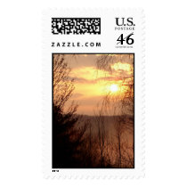MISTY MORNING postage by wendybandurskimiller MISTY MORNING postage