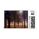 misty morning postage stamps