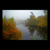 Misty Morning posters