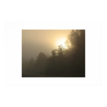 Misty morning posters