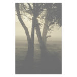 Misty Morning Stationery