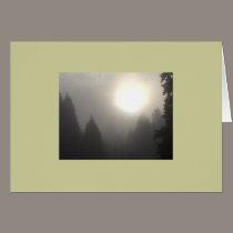 Misty Morning Sun #2 cards