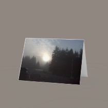 misty Morning sun #3 cards