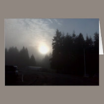 misty Morning sun #3 cards
