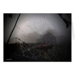 Misty Morning Sunrise cards