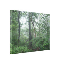 Misty Morning Woods Canvas Prints