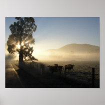 Misty Morning Yarra Valley posters