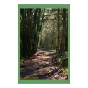 Misty Path posters by HappyJackCreations Misty Path posters