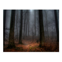 Misty Path to Flat Top Mountain Postcards