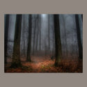 Misty Path to Flat Top Mountain posters