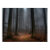 art, nature, virginia, fine art, mountain, fog,