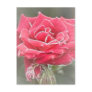 Misty Rose Postcards