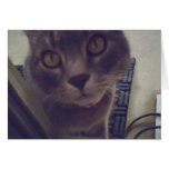 Misty Sighs Greeting Card