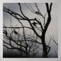 misty silence posters