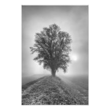 Misty Sunrise Art Photo
