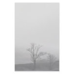 Misty Trees stationery