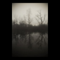 Misty Waters Canvas Print