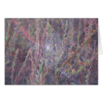 Misty Web Greeting Card