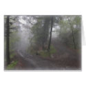 Misty Woods cards