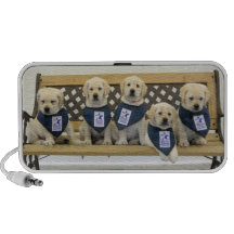 Misty's Weather Litter Speaker