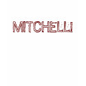 MITCHELL! t-shirts