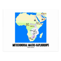 Mitochondrial Macro-Haplogroups (MRCA Genealogy) Postcard