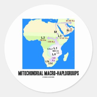 Mitochondrial Macro-Haplogroups (MRCA Genealogy) Round Sticker