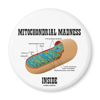 Mitochondrial Madness Inside (Mitochondrion) magnet