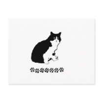 Mitten Kitten Post Card