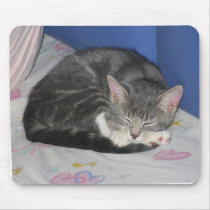 MIttens Kitten Square Nap Mousepad