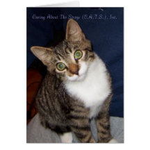 Mittens Notecard