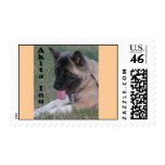 Mitter stamp-Vert txt