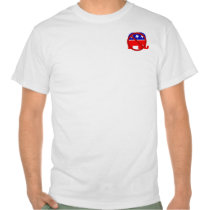 Mitt's a Nitwit! T Shirts