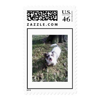 Mixed-breed dog postage by dusty641