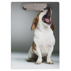 Mixed breed dog yawning clipboard