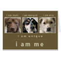 Mixed Breed: I Am Me cards