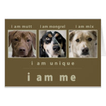Mixed Breed: I Am Me cards