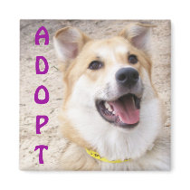 Mixed Breed Magnet by sunsett76 Mixed Breed Magnet
