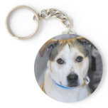 Mixed-Breed Pitbull/Yellow Labrador Keychain