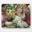 Mixed Caladiums mousepads