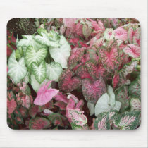 Mixed Caladiums Mouse Pads