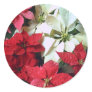 Mixed color Poinsettias 1